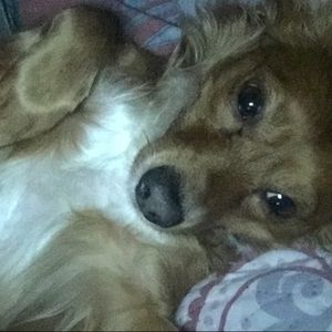 Meet your Posher, Cas